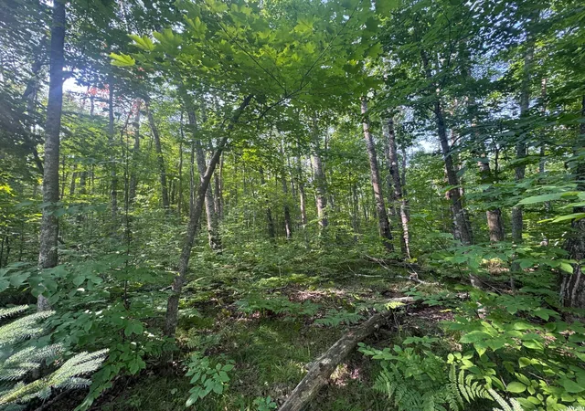 2nd image of Tbd Howard Lake Rd Nw, Akeley, MN 56433 | MLS# 7127035