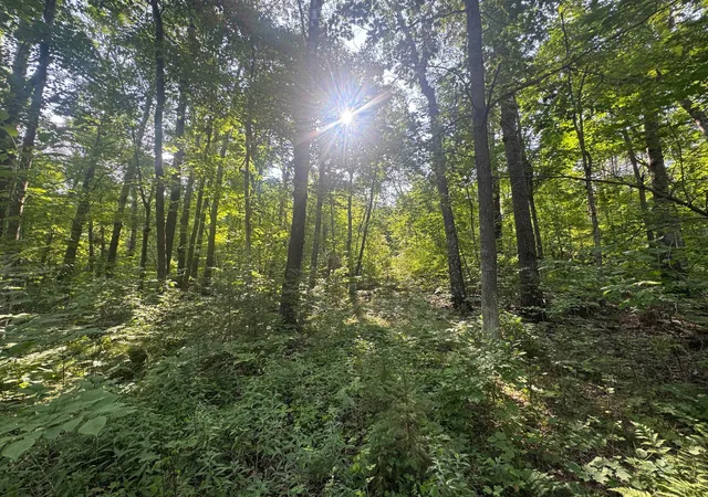 3rd image of Tbd Howard Lake Rd Nw, Akeley, MN 56433 | MLS# 7127035