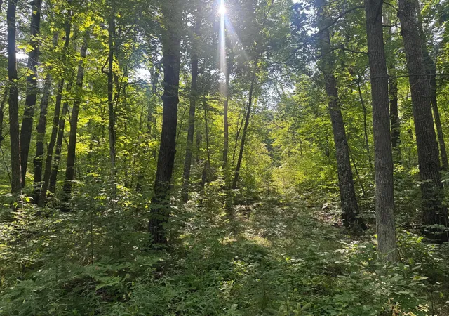 4th image of Tbd Howard Lake Rd Nw, Akeley, MN 56433 | MLS# 7127035