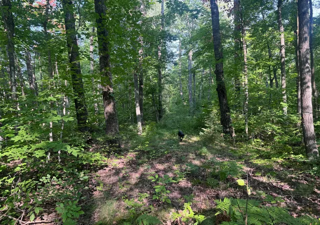 5th image of Tbd Howard Lake Rd Nw, Akeley, MN 56433 | MLS# 7127035