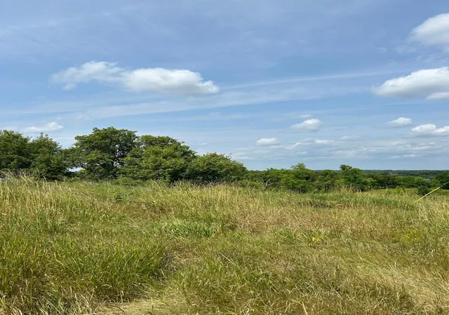 1st image of 11705 County Hwy 8, Lake Park, MN 56554 | MLS# 7127255