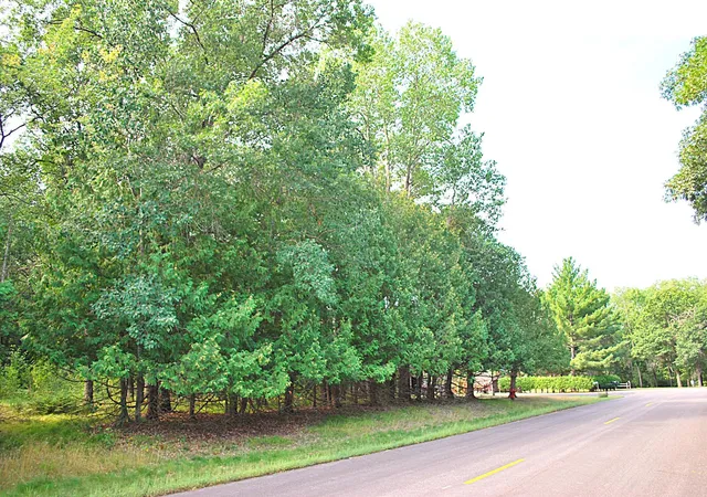 1st image of Tbd Marohn Rd, Baxter, MN 56425 | MLS# 7127339