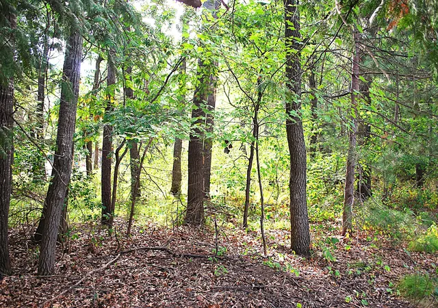 5th image of Tbd Marohn Rd, Baxter, MN 56425 | MLS# 7127339