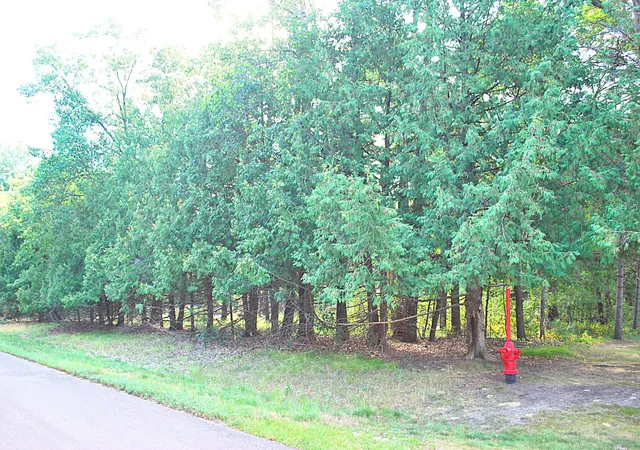 6th image of Tbd Marohn Rd, Baxter, MN 56425 | MLS# 7127339