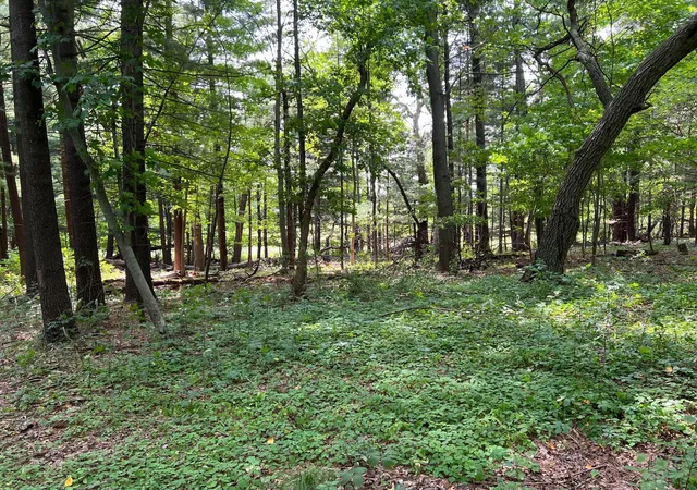 Photo 4 of Land for sale at Tbd Elmcrest Ave, Stacy, MN 55079 | MLS# 7127388 | Listing updated on 2026-10-08