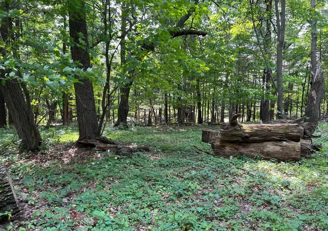 Photo 3 of Land for sale at Xxxx Elmcrest Ave, Stacy, MN 55079 | MLS# 7127396 | Listing updated on 2026-10-08