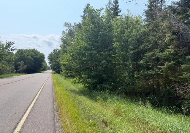 10th image of Tbd State Hwy 65, Mc Gregor, MN 55760 | MLS# 7127457
