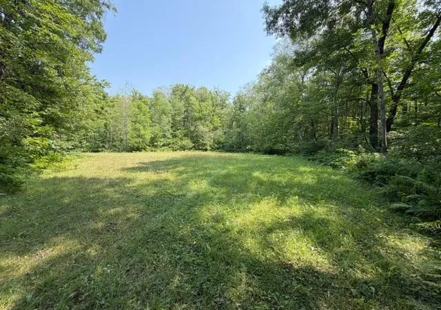 image of Tbd State Hwy 65, Mc Gregor, MN 55760 | MLS# 7127457