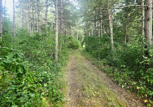 1st image of Tbd 400th St, Browerville, MN 56438 | MLS# 7127638