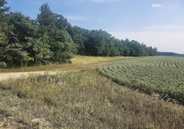 2nd image of Tbd 400th St, Browerville, MN 56438 | MLS# 7127638