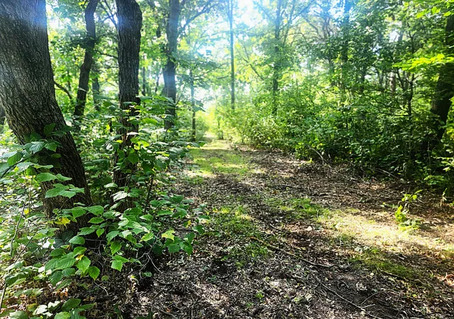 Photo 2 of Land for sale at Tbd 400th Street, Browerville, MN 56438 | MLS# 7127638 | Listing updated on 2026-09-28