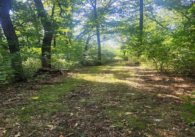 Photo 3 of Land for sale at Tbd 400th Street, Browerville, MN 56438 | MLS# 7127638 | Listing updated on 2026-09-28