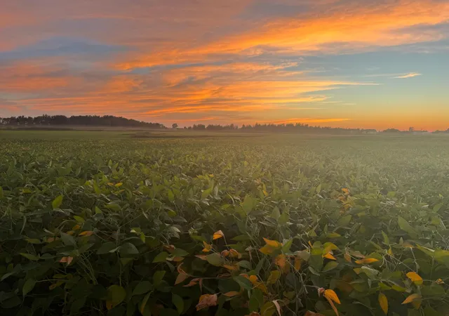 Photo 2 of Land for sale at Tbd 115th Street Ne, Foley, MN 56329 | MLS# 7127664 | Listing updated on 2026-09-01