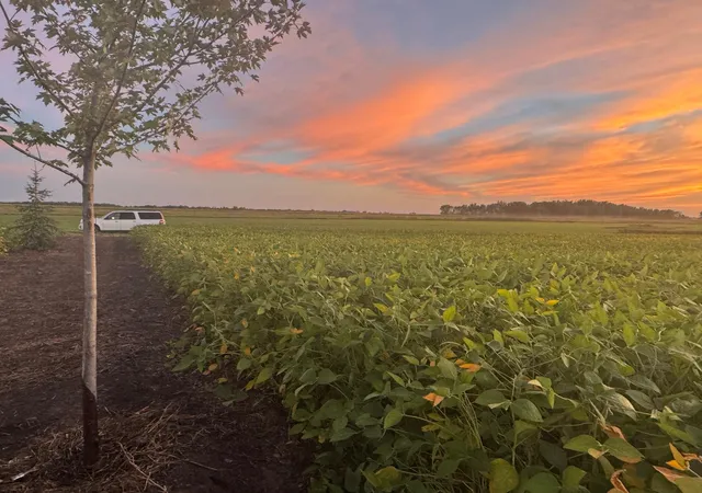 Photo 3 of Land for sale at Tbd 115th Street Ne, Foley, MN 56329 | MLS# 7127664 | Listing updated on 2026-09-01
