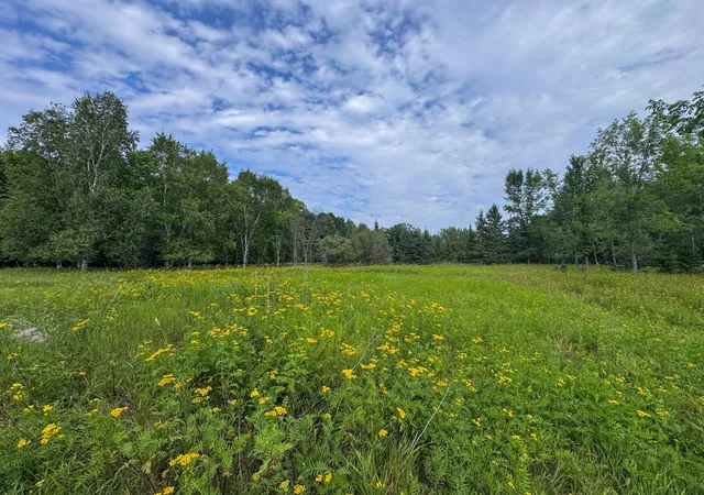 Photo 3 of Land for sale at 12685 Sharp Rock Rd NE, Tenstrike, MN 56683 | MLS# 7127704 | Listing updated on 2026-09-21