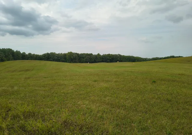 12th image of Tbd Buckskin Rd Ne, Carlos, MN 56319 | MLS# 7127718