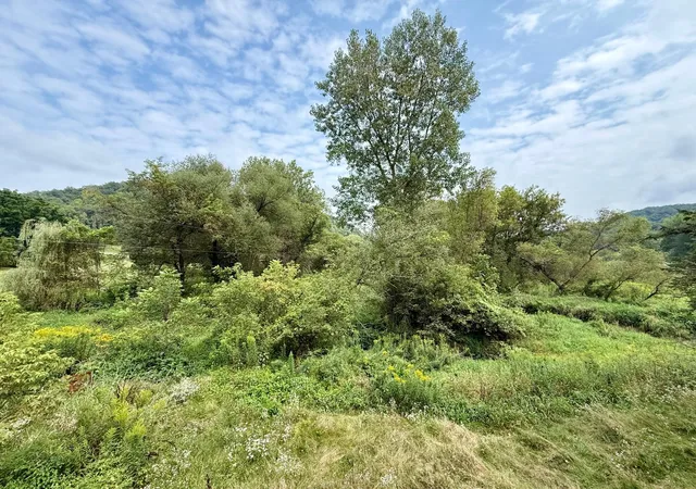 Photo 3 of Sale Pending at 19996 Highway 248, Rollingstone, MN 55969 | MLS# 7127793 | Listing updated on 2026-08-22