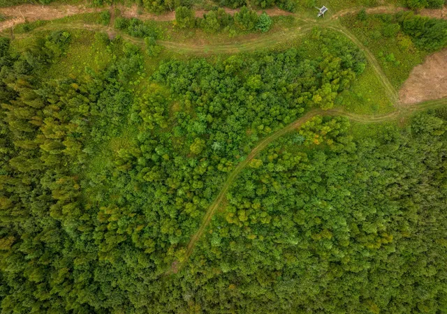 32nd image of 000 State Hwy 48, Hinckley, MN 55037 | MLS# 7127858