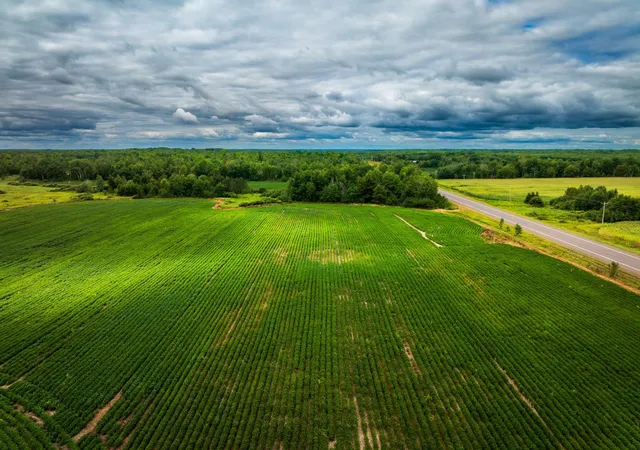 26th image of 00000 State Hwy 48, Hinckley, MN 55037 | MLS# 7127865