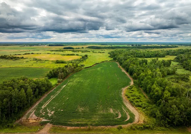 2nd image of 00 State Hwy 48, Hinckley, MN 55037 | MLS# 7127866