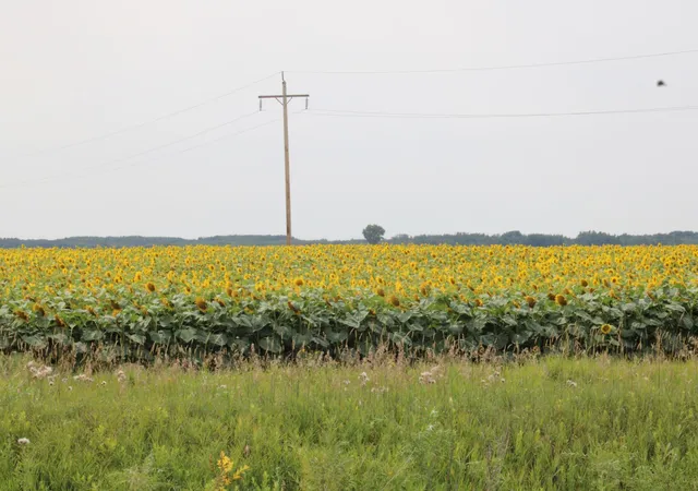Photo 1 of Land for sale at 000 State Hwy 219, Goodridge, MN 56725 | MLS# 7127983 | Listing updated on 2026-08-17