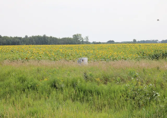 Photo 2 of Land for sale at 000 State Hwy 219, Goodridge, MN 56725 | MLS# 7127983 | Listing updated on 2026-08-17