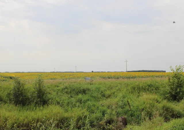Photo 3 of Land for sale at 000 State Hwy 219, Goodridge, MN 56725 | MLS# 7127983 | Listing updated on 2026-08-17