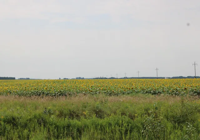 Photo 3 of Land for sale at 000 State Hwy 219, Goodridge, MN 56725 | MLS# 7127983 | Listing updated on 2026-08-17
