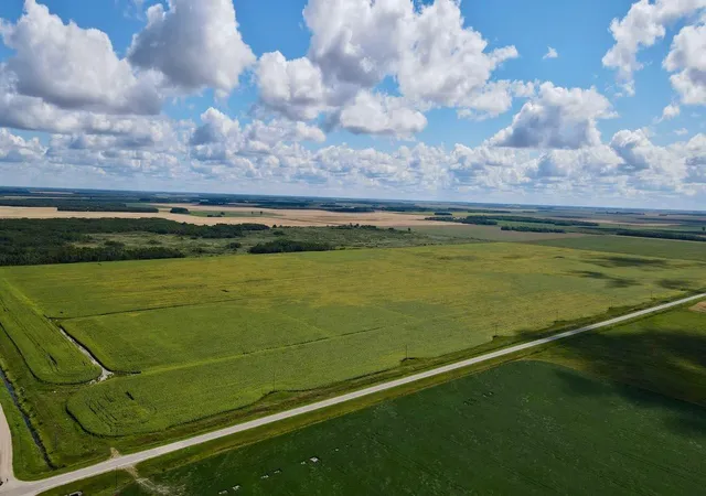 Photo 4 of Land for sale at 000 State Hwy 219, Goodridge, MN 56725 | MLS# 7127983 | Listing updated on 2026-08-17