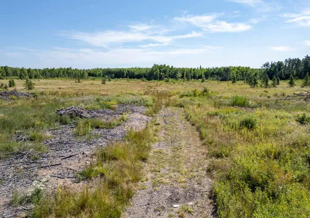 Photo 4 of Land for sale at Tbd Highway 5, Hibbing, MN 55746 | MLS# 7128029 | Listing updated on 2026-08-17