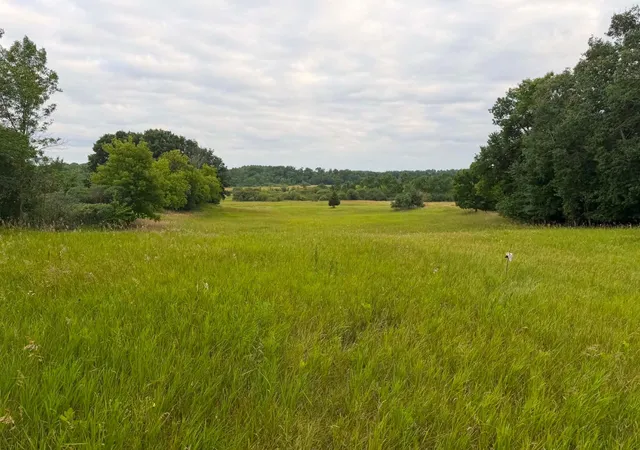 Photo 3 of Sale Pending at Tbd 405Th Ave Nw, Braham, MN 55006 | MLS# 7128043 | Listing updated on 2026-09-08