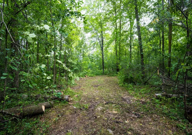 1st image of 7xxx 200th St, Milaca, MN 56353 | MLS# 7128187