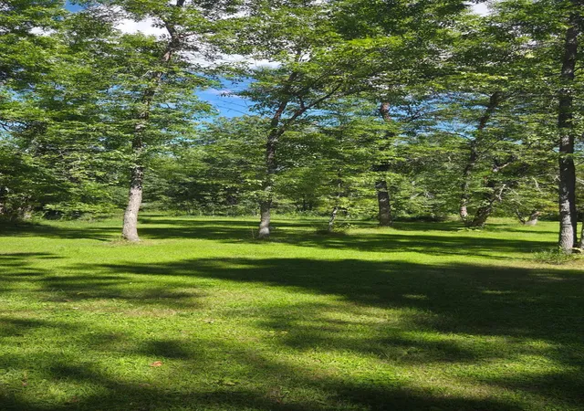 3rd image of 305 5Th Ave W, Federal Dam, MN 56641 | MLS# 7128195