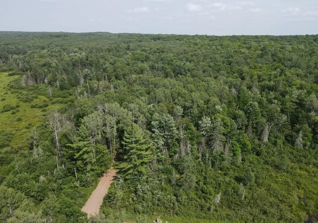 22nd image of Lot 2 Smith Rd, Couderay, WI 54828 | MLS# 7128286