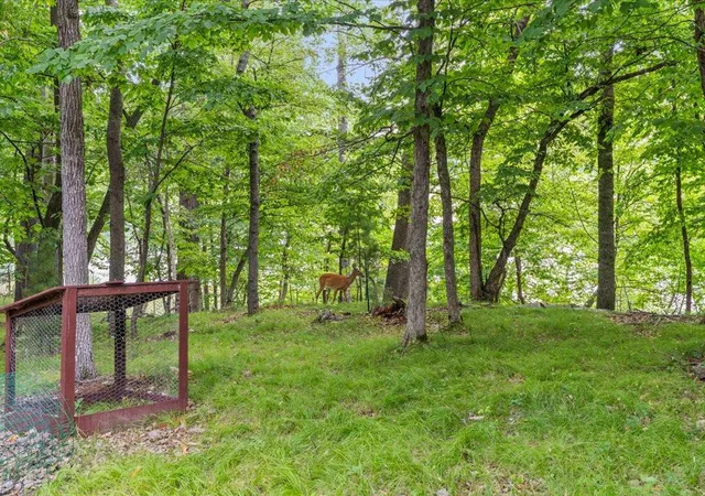 Photo 3 of Single family home for sale at 7738 Lost Lake Rd, Nisswa, MN 56468 | MLS# 7128355 | Listing updated on 2026-10-02