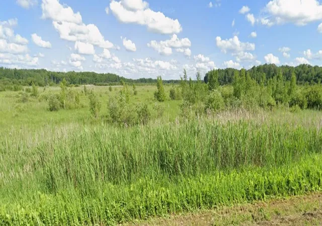 5th image of Tbd State Hwy 107, Brook Park, MN 55007 | MLS# 7128391