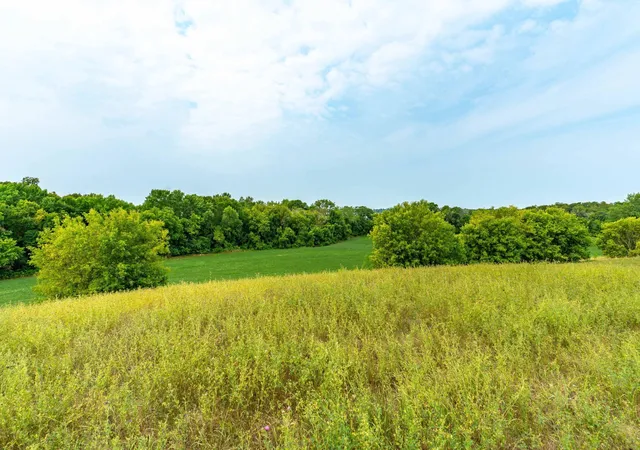 Photo 3 of Land for sale at Tbd 280th Avenue, Underwood, MN 56586 | MLS# 7128398 | Listing updated on 2026-08-17