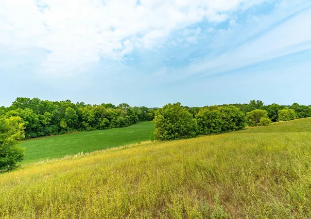 Photo 4 of Land for sale at Tbd 280th Avenue, Underwood, MN 56586 | MLS# 7128398 | Listing updated on 2026-08-17