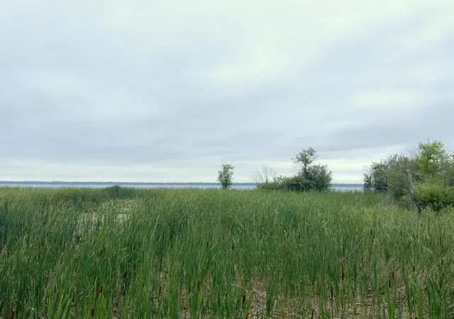 2nd image of 24627 County Road 3, Merrifield, MN 56465 | MLS# 7128442