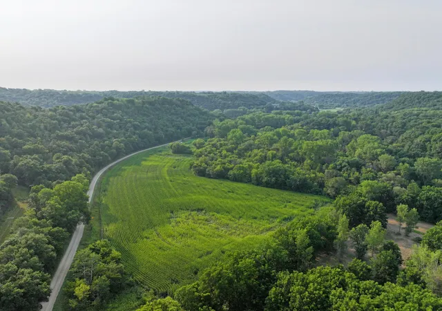 Photo 3 of Land for sale at Tbd 299th Avenue, Millville, MN 55957 | MLS# 7128511 | Listing updated on 2026-08-17