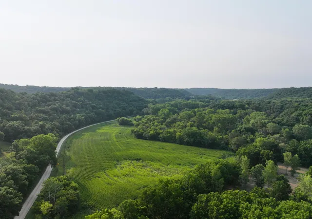 Photo 4 of Land for sale at Tbd 299th Avenue, Millville, MN 55957 | MLS# 7128511 | Listing updated on 2026-08-17