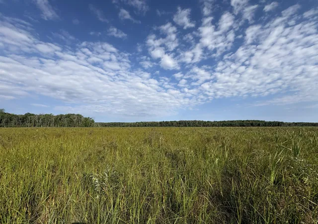 Photo 1 of Land for sale at Xxx Meadowview Rd, Brainerd, MN 56401 | MLS# 7128624 | Listing updated on 2026-09-08