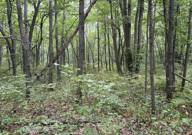 Photo 2 of Land for sale at Xxx Meadowview Rd, Brainerd, MN 56401 | MLS# 7128624 | Listing updated on 2026-09-08