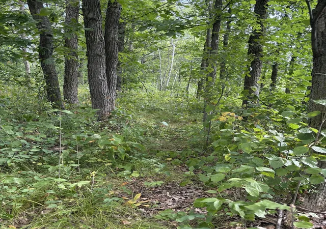 Photo 3 of Land for sale at Xxx Meadowview Rd, Brainerd, MN 56401 | MLS# 7128624 | Listing updated on 2026-09-08