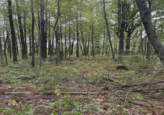 Photo 3 of Land for sale at Xxx Meadowview Rd, Brainerd, MN 56401 | MLS# 7128624 | Listing updated on 2026-09-08