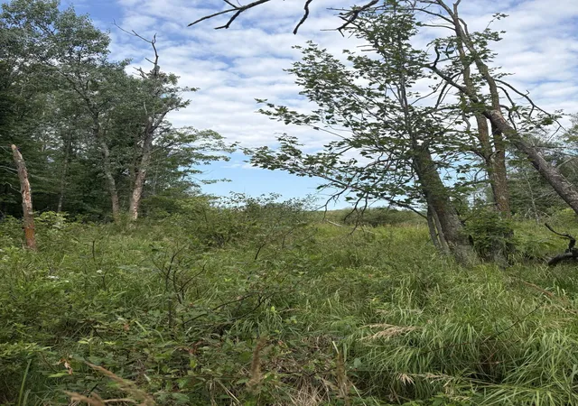 Photo 4 of Land for sale at Xxx Meadowview Rd, Brainerd, MN 56401 | MLS# 7128624 | Listing updated on 2026-09-08