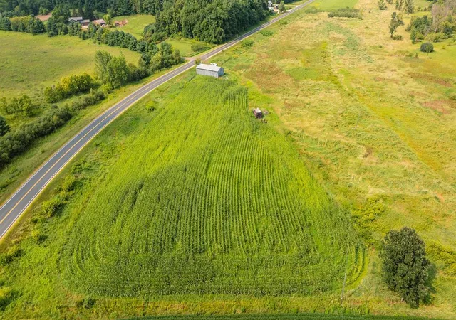 Photo 3 of Land for sale at 0 County Rd K, Boyceville, WI 54725 | MLS# 7128674 | Listing updated on 2026-09-04