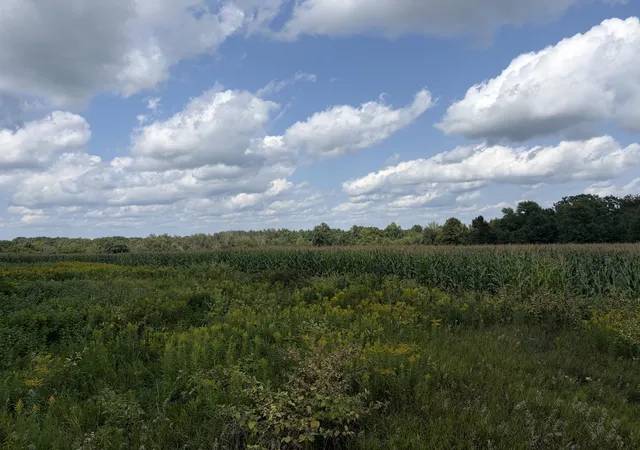 Photo 1 of Land for sale at 73 45th Avenue, Clayton, WI 54004 | MLS# 7128766 | Listing updated on 2026-08-22