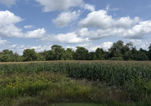 Photo 2 of Land for sale at 73 45th Avenue, Clayton, WI 54004 | MLS# 7128766 | Listing updated on 2026-08-22