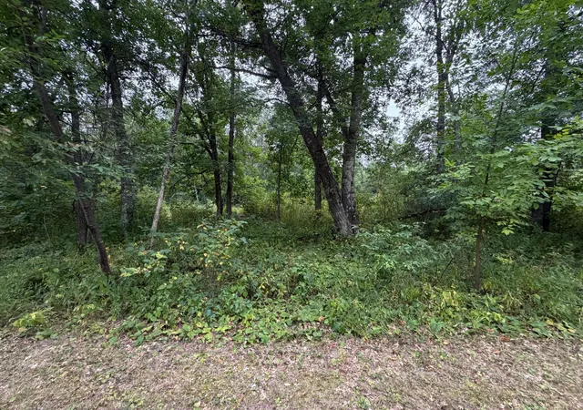 2nd image of Lot 1 Whitetail, Crosby, MN 56441 | MLS# 7128768